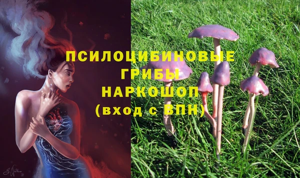 хмурый Горняк